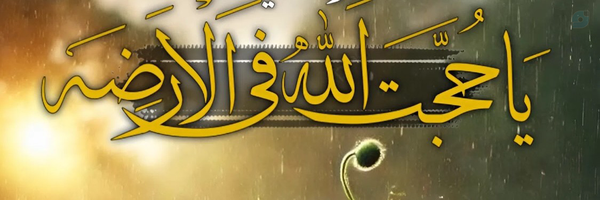 ‌محمـב امین زیارتے عزیز🇮🇷‌'s header picture