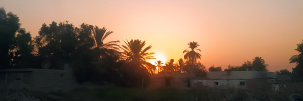 ‌سادات حسنی‌'s header picture