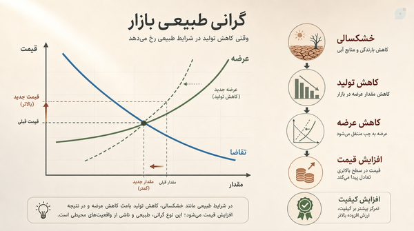گرانیِ ناشی از عرضه و تقاضا و عوامل طبیعی بازار است و چون همیشه با ارزانی همراه است در صورت سالم بودن پول، برای اقتصاد مضر نیست