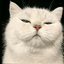 Profile picture of ‌medium‌