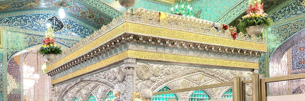 ‌محمد راسخ نیا‌'s header picture
