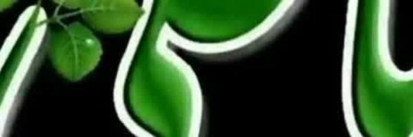 ‌آمنه سادات بهشتی‌'s header picture