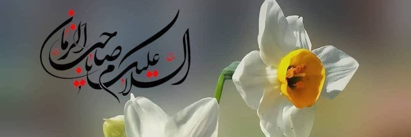‌محمد‌'s header picture