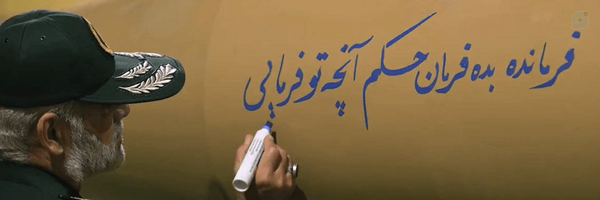 ‌Zahra chavoshi‌'s header picture