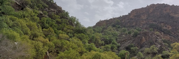 ‌فاطیما‌'s header picture