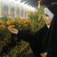Profile picture of ‌شادی داوودی‌