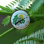 Profile picture of ‌اعلام الحربی کتایب القسام‌