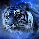 Profile picture of ‌سید محمد حسینی‌