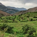 Profile picture of ‌حیران‌