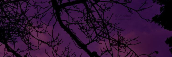 ‌شاید من..!‌'s header picture