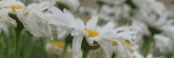 ‌𝕗𝕒𝕥𝕖𝕞𝕖𝕙‌'s header picture