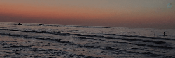 ‌@zahra_y567‌'s header picture