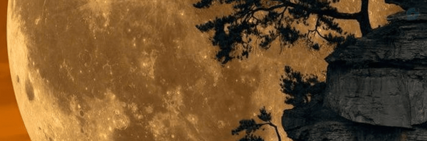 ‌Ehsan Ayremlou‌'s header picture