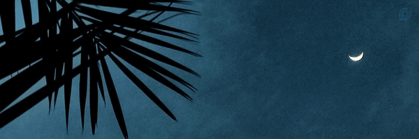 ‌عارف العشق‌'s header picture
