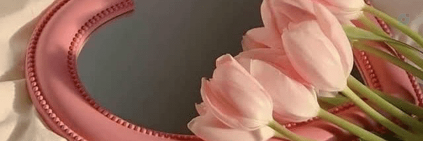 ‌مهدیه طاهری‌'s header picture