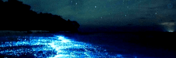 ‌نغمه پرواز شنونده ام‌'s header picture