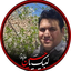 Profile picture of ‌Hashem Sangooni‌