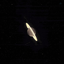 Profile picture of ‌مهیار خواجه‌