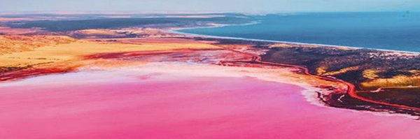 ‌سجاد محمد نژاد‌'s header picture