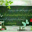 Profile picture of ‌Miss Saeidzadeh‌