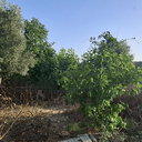 Profile picture of ‌رضا بهی زاده‌