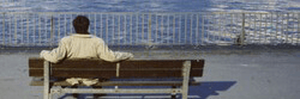 ‌Mam 449‌'s header picture