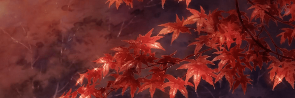 ‌✿Sora♡‌'s header picture