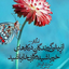 Profile picture of ‌Moradian‌