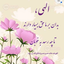 Profile picture of ‌Roya محمدی‌