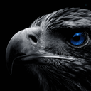 Profile picture of ‌عـقّــ🦅ــابــِــــــ..🚩‌