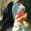 Profile picture of ‌ریحانه موسویان‌
