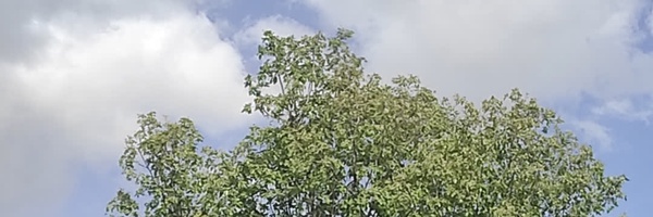 ‌سید مقدم حیدری زاده‌'s header picture