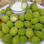 Profile picture of ‌زنگلاچو‌