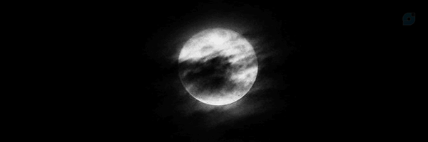 ‌الا‌'s header picture