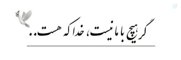‌مهــدا🌱‌'s header picture