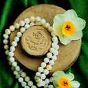 Profile picture of ‌امیرعلی مقنیان‌
