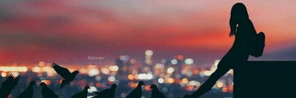 ‌آلیس در سرزمین مرزی‌'s header picture