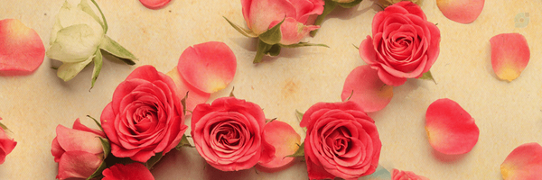 ‌مهدی شبانی 🇮🇷Mahdi shabani‌'s header picture