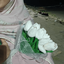 Profile picture of ‌بانو‌پناه!‌