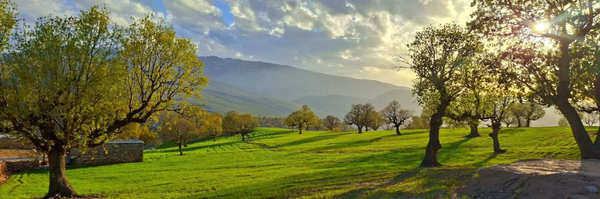 ‌مهندس تبریزیان‌'s header picture