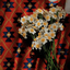 Profile picture of ‌مـهـدیــه‌