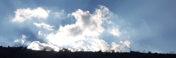 ‌مهدی محمدی‌'s header picture