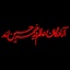 Profile picture of ‌سید امیر مهدی حجازی‌