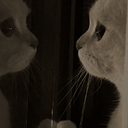 Profile picture of ‌Hossein‌