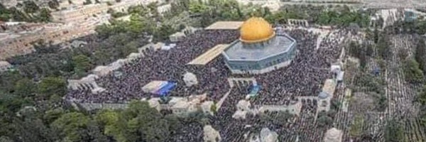‌میثم نیلی‌'s header picture