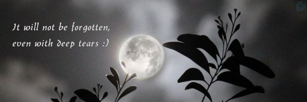 ‌Mohadeseh‌'s header picture