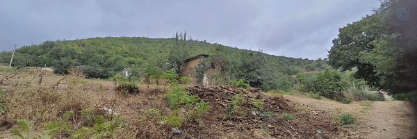 ‌میرمحمّد معصومی‌'s header picture