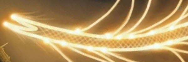 User's header picture