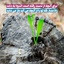 Profile picture of ‌هادی توانچه‌