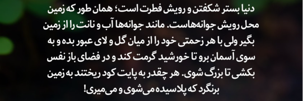 ‌جوانه 🌱‌'s header picture